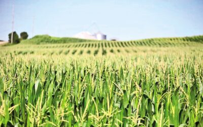 貿易摩擦で打撃を受けた米国農家へのトランプ大統領の救済策は今週発表される見込み