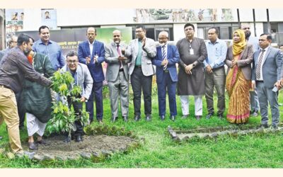 パバリ銀行が植樹プログラムを開始