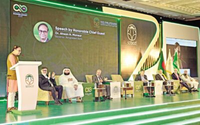 サウジアラビアはBDの有望な長期プロジェクトへの投資を招待されている