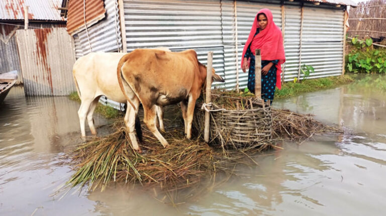 水は引いたが、苦しみはまだまだ終わっていない