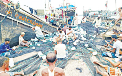 漁師は22日間で米の半分しか得られない