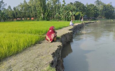 ブラマプトラ川の浸食がガイバンダの住宅や農地を飲み込む