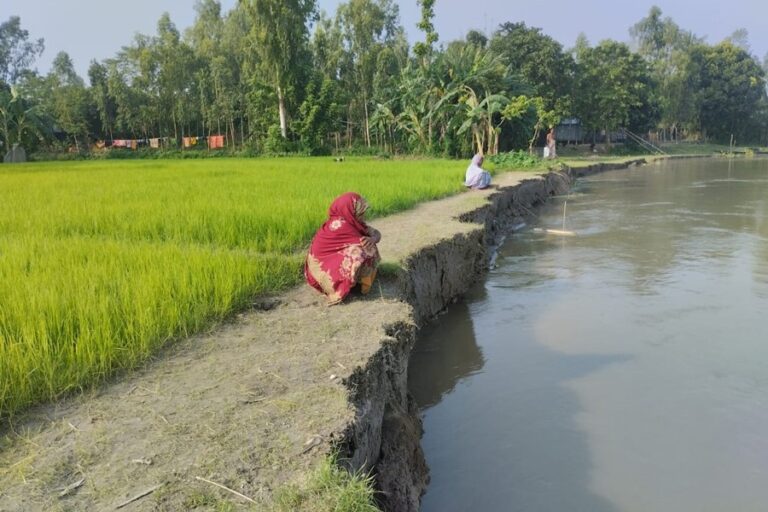ブラマプトラ川の浸食がガイバンダの住宅や農地を飲み込む