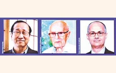 新たな分子構造の発見で3人がノーベル化学賞を受賞