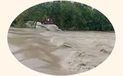 ウズベキスタンのダコペでは、潮汐により低地が浸水している。