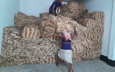 ラジシャヒでジュート価格が1マウンドあたり4,000タカを超える