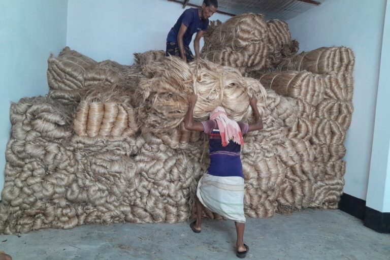 ラジシャヒでジュート価格が1マウンドあたり4,000タカを超える