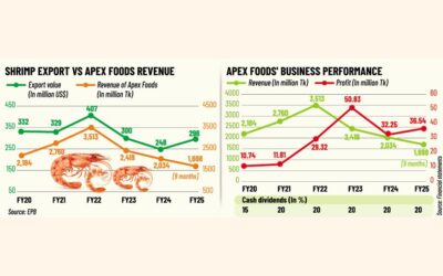 アペックス・フーズはエビ輸出の回復により25年度に13%の利益増を達成