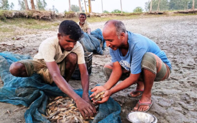 急速に消滅しつつある在来種の魚