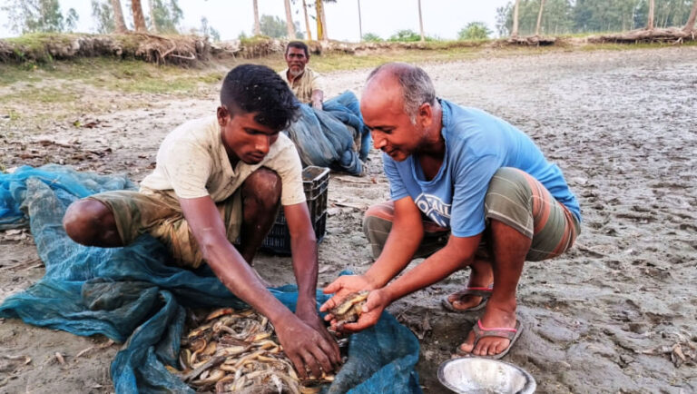 急速に消滅しつつある在来種の魚