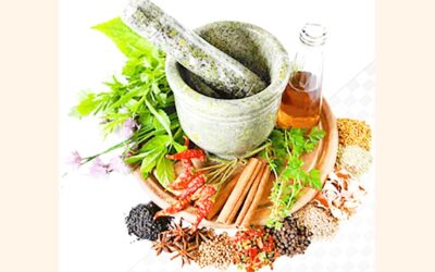 バングラデシュにおけるアーユルヴェーダの健康論への統合