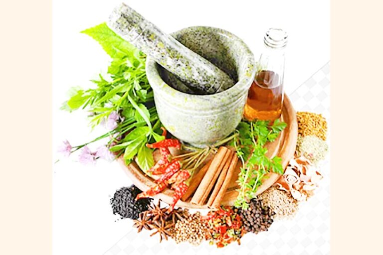 バングラデシュにおけるアーユルヴェーダの健康論への統合