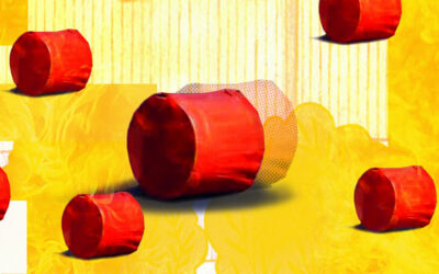 少年、粗悪な爆弾をボールと間違えて負傷