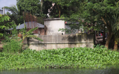 ピロジプルの開発事業：未完のプロジェクト、終わりのない苦しみ