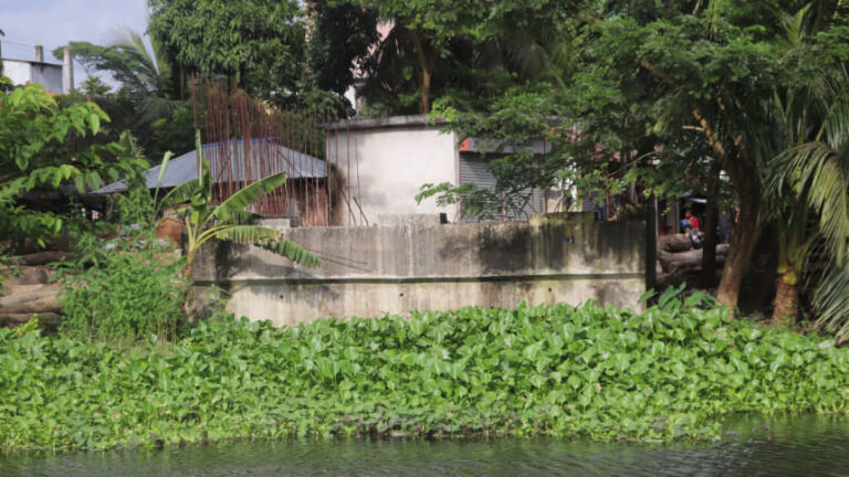 ピロジプルの開発事業：未完のプロジェクト、終わりのない苦しみ