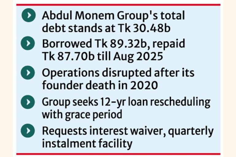 アブドゥル・モネム・グループは12年間の融資の繰り延べを求め、政策がそれを支援