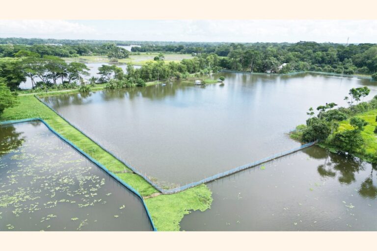 ゴパルガンジ、養殖場で11億2000万タカの魚生産を目指す