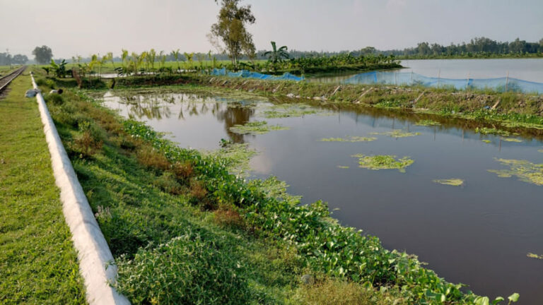 養殖のために占拠された運河