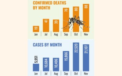 デング熱による死者、11月に88人に達し2025年最多の月