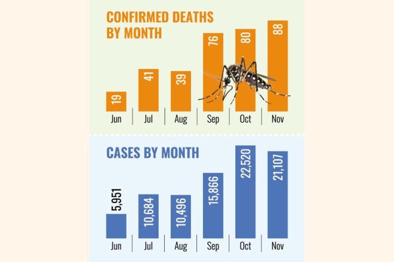 デング熱による死者、11月に88人に達し2025年最多の月