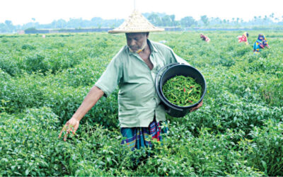 AIは農家の問題を解決できるのか？