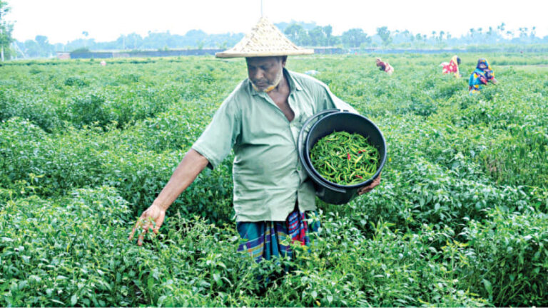 AIは農家の問題を解決できるのか？