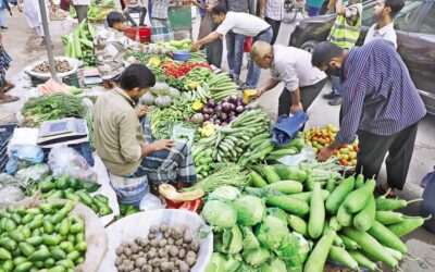 冬野菜の価格上昇に消費者は不満