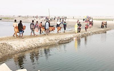 河川島の経済的台頭