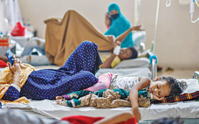 11月にデング熱の感染者数がピークを迎え、家族が苦境に立たされる