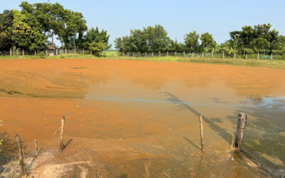 傷口に塩を塗る