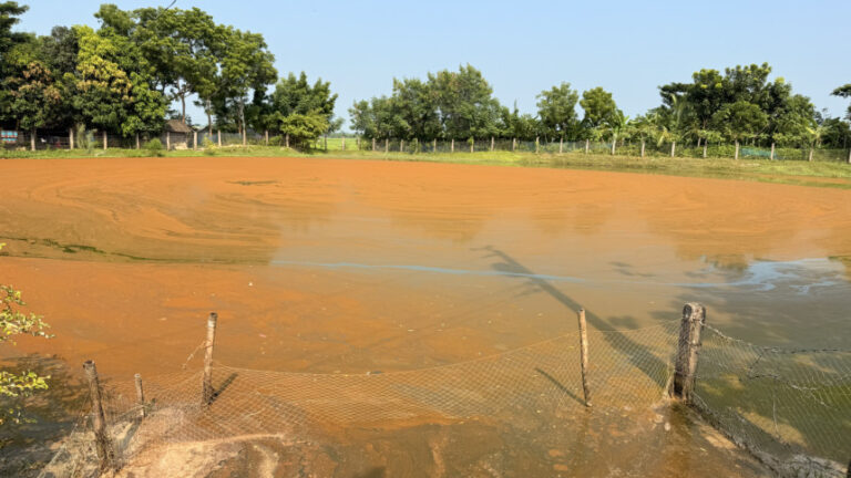 傷口に塩を塗る