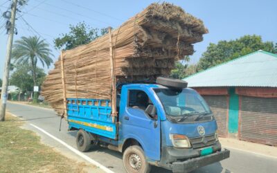 ゴパルガンジの農家、2つの郡でのジュート販売で5億ドルを獲得