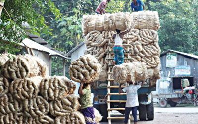 輸出制限はプレミアム価格の上昇でジュート市場の冷却にはつながらない