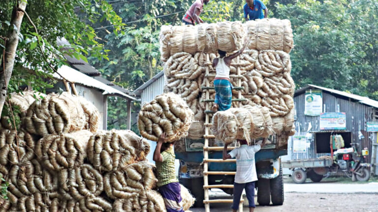 輸出制限はプレミアム価格の上昇でジュート市場の冷却にはつながらない