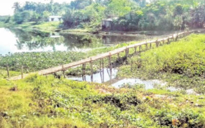 28年経っても、地元住民はバイラブ川に橋が架かるのを待ち続けている