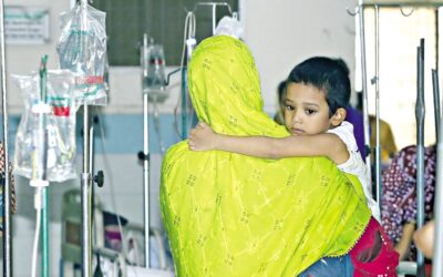 デング熱による死者数が今年1日当たり最多の10人に達する