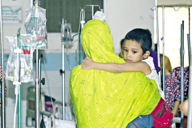 デング熱による死者数が今年1日当たり最多の10人に達する