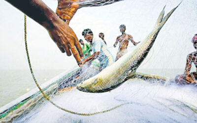 アムタリで1,500kgのジャトカが押収される