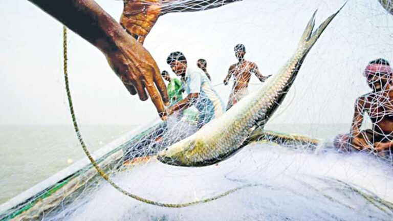 アムタリで1,500kgのジャトカが押収される