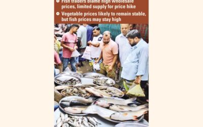 魚の価格が高騰、野菜と卵の価格は先週下落