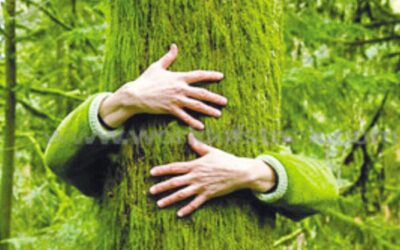 3次元的なつながりが決め手