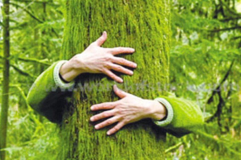 3次元的なつながりが決め手