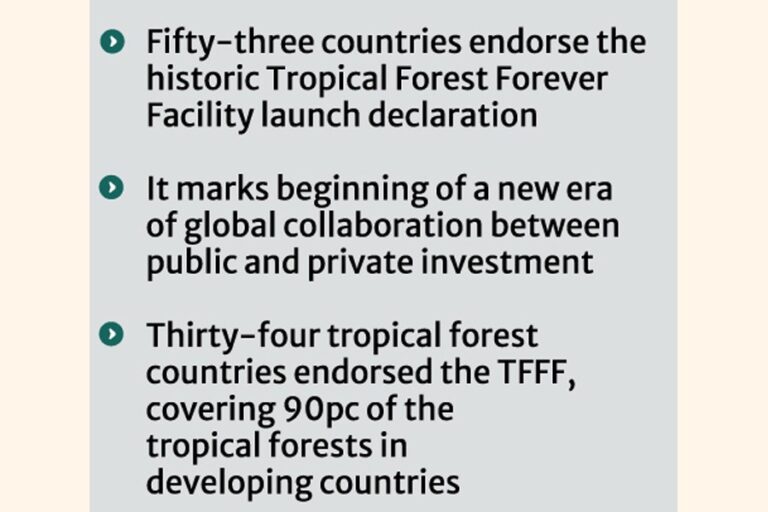 TFFFに55億ドル以上が発表