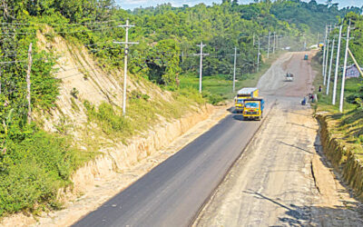 保護林の道路拡張工事：RHDが承認なしに9つの丘を伐採