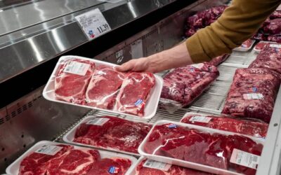 トランプ政権、牛肉価格高騰で食肉加工業者の調査を開始