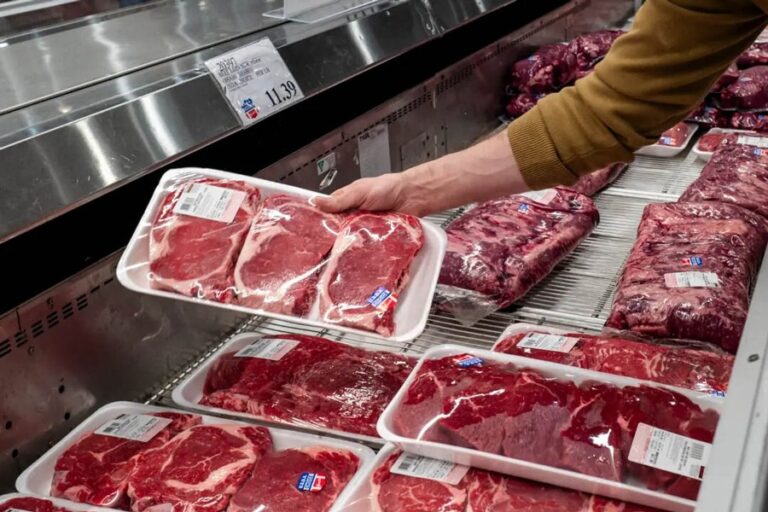 トランプ政権、牛肉価格高騰で食肉加工業者の調査を開始
