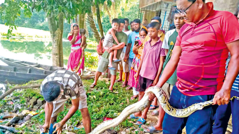 死に至るまで救う：野生動物を救わない方法