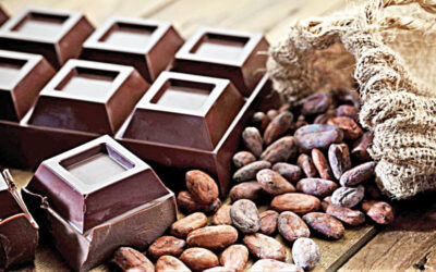 機能性チョコレート：喜びを目的に変える
