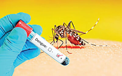 デング熱でさらに6人が死亡、1,195人が入院
