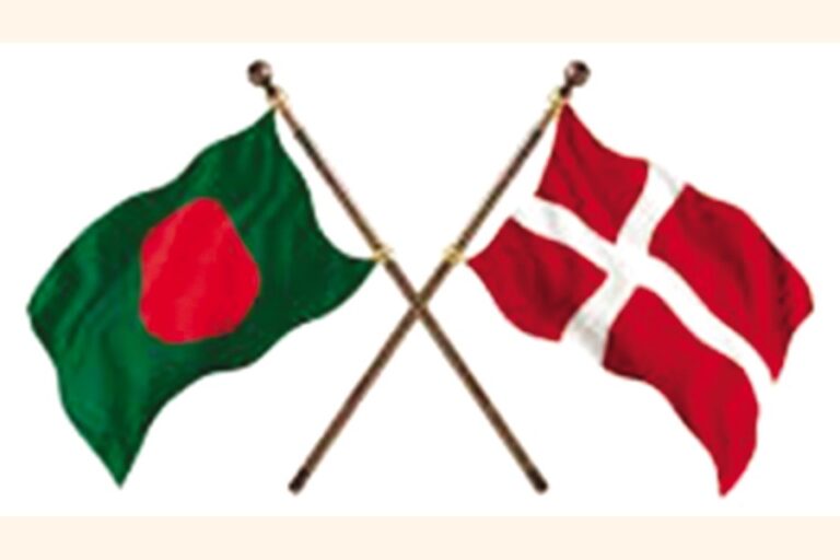 デンマークはBDと提携し、人権とメディアの自由を強化